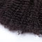 El cabello humano rizado rizado brasileño del grado 5A 6A 7A cose en el nilón para la extensión proveedor