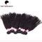 Negro natural rizado dibujado doble indio de las extensiones del pelo de Remy 100G proveedor