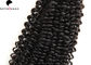 Extensión rizada del cabello humano de Brazilain del pelo de la Virgen del grado 7A del negro de Natutral de la onda proveedor