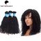 Pelo europeo rizado rizado negro natural de la Virgen del 100% de los paquetes del cabello humano proveedor